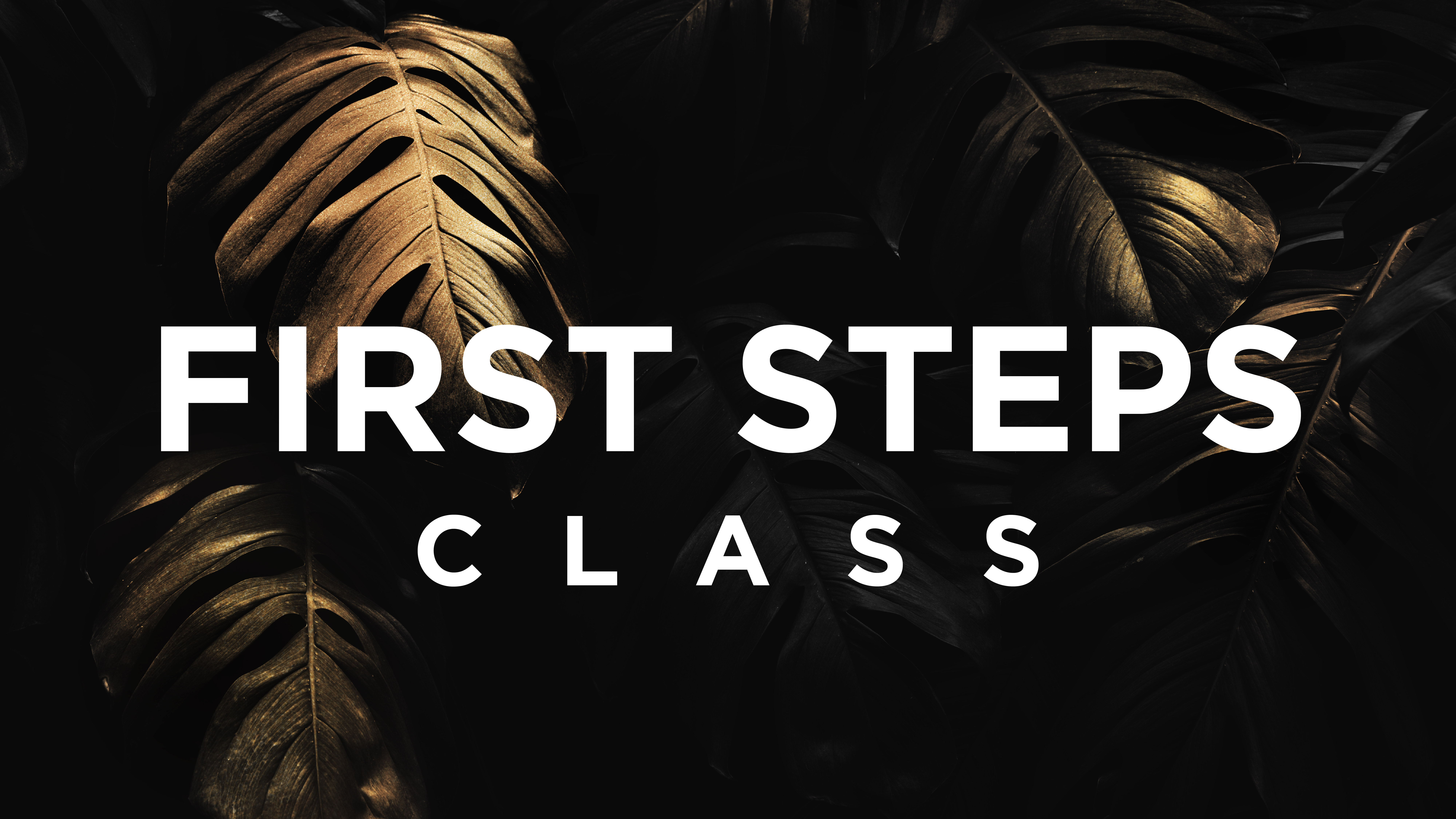 First Steps Class